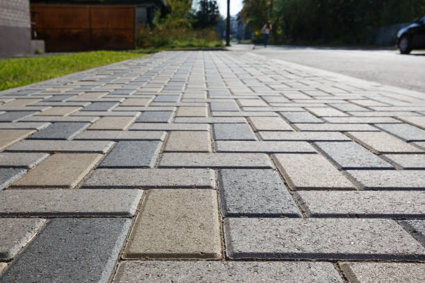 Best Local Driveway Pavers  in Palatka, FL